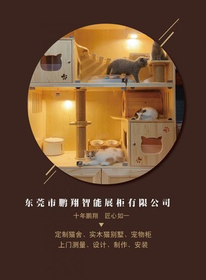 專屬于愛寵的溫暖港灣——全方位寵物服務公司介紹